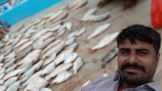 Mangrove Fishing With Subscribers | Irfan Rajput | 2021