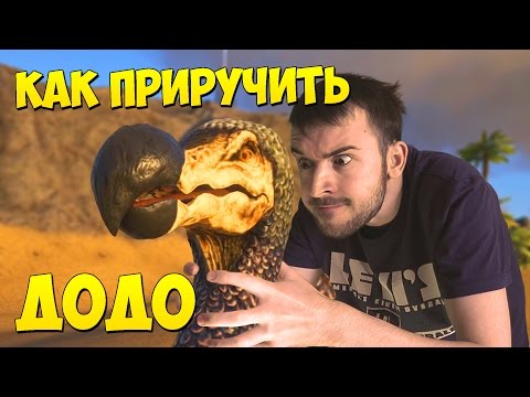 Видео: Как да избегнем мононуклеоза: 7 стъпки (със снимки)