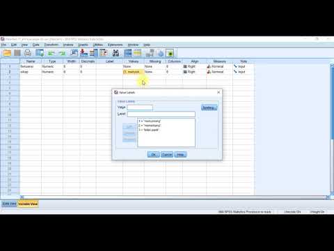 SPSS: Ujian Khi Kuasadua (Chi-square)