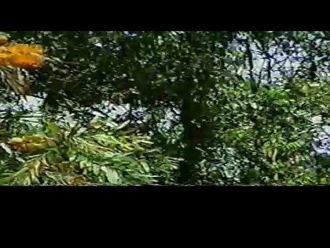 trilhas em sao paulo NVECapture.0005.mpg ERNESTINA-RS 2005
