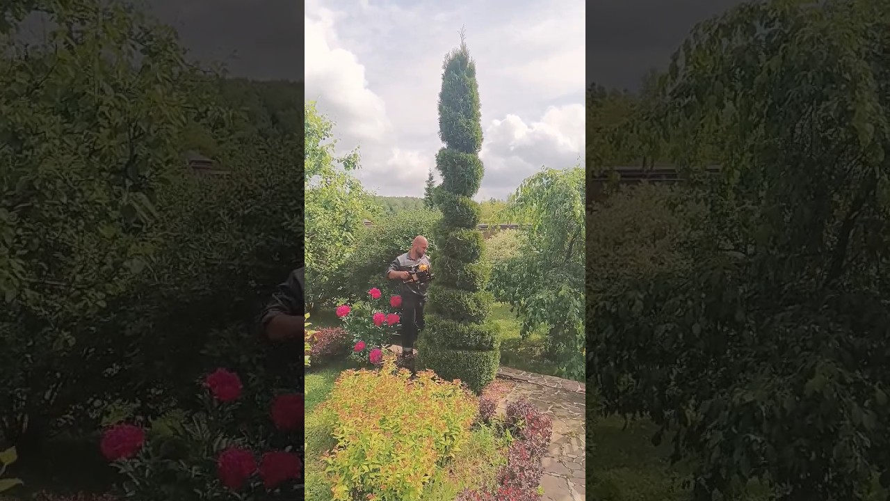 Творчество и внимательность☀️ 