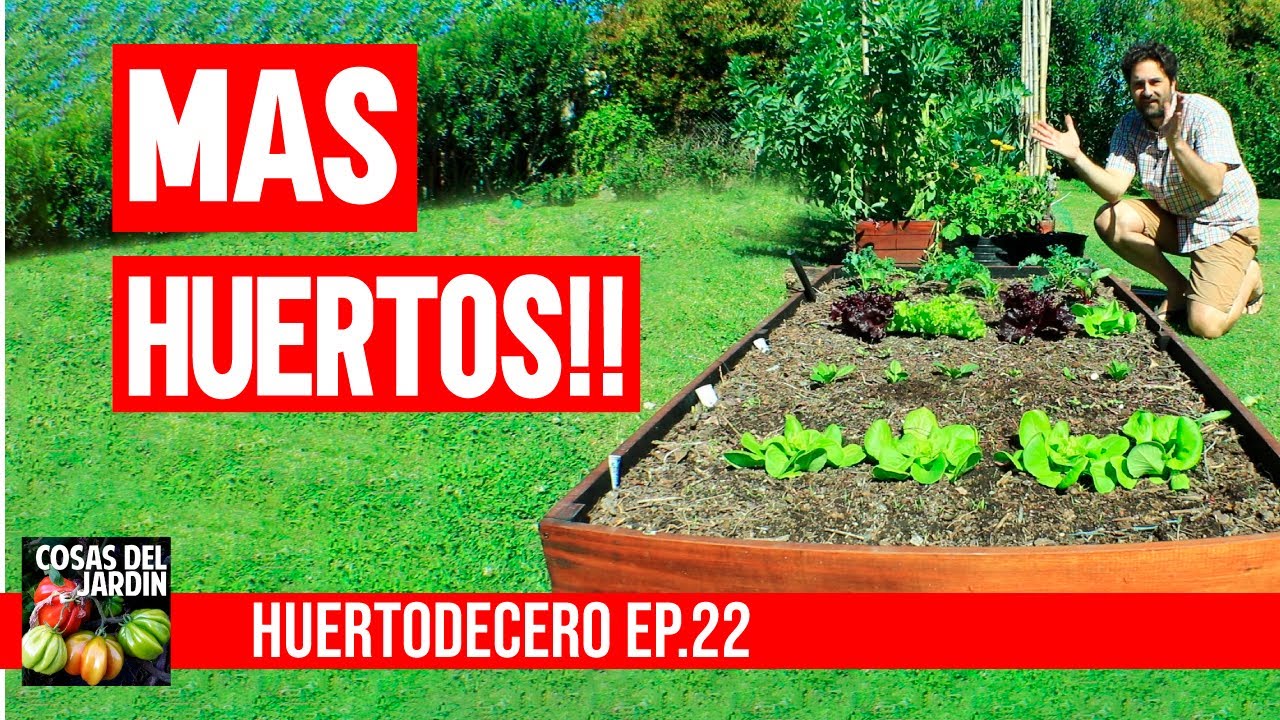 Te muestro los nuevos huertos que hice en mi jardin! #huertodecero Ep 22