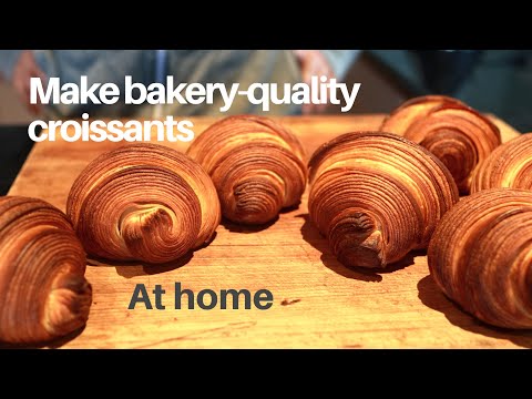 Vidéo: Croissant D'euphorbe