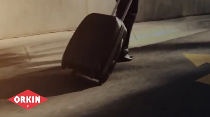 5 Essential Travel Tips To Prevent Bed Bugs In Hotels | Orkin