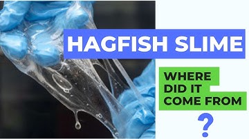 How did the hagfish slime defense evolve and why?