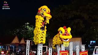 Baan Thai 2 Seafood And Thai Cuisine Acrobatic Hi Pole Lion Dance By Kok Ngai Lion Dance Club國藝體育會