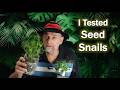 Samenschnecken Im Test Überraschende Ergebnisse