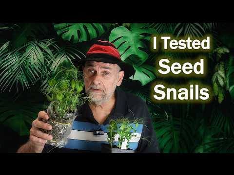 Seed Snails Put to the Test - Surprising Results