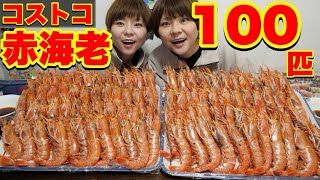 【大食い】天然赤海老１００匹食べたら幸せすぎた🥹✨ mp4【大胃王】【MUKBANK】