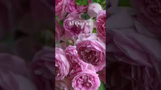 Surah Saffat Ayat 123-138 Urdu translation#quran#trending#viral #islamicstatus#quranvideo#shortsfeed