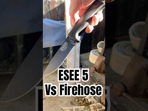 Much better than expected     