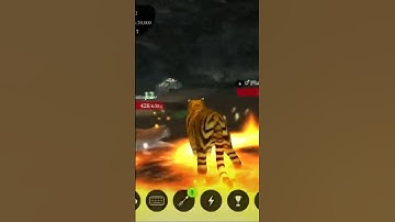 The Tiger: Online RPG Animal Simulator - Gameplay Walkthrough Part 1 (iOS, Android) #animals