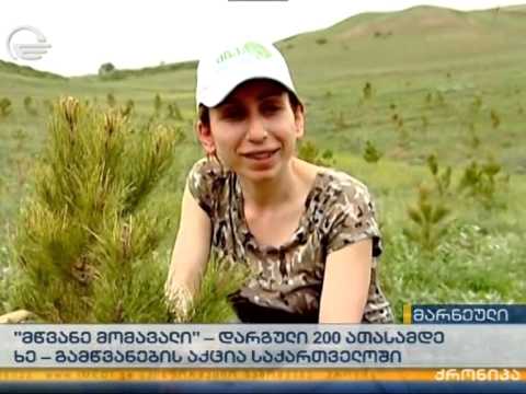 MOE: სიუჟეტი გამწვანების აქცია ,,მწვანე მომავლის'' ფარგლებში დარგული ნერგების მონიტორინგის შესახებ