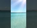 The Sea Vibes #sea #shortsvideo