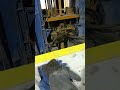Causes, Solutions, and Prevention of Tamper Head Jamming in Brick Machines.#brickmakingmachinedoctor