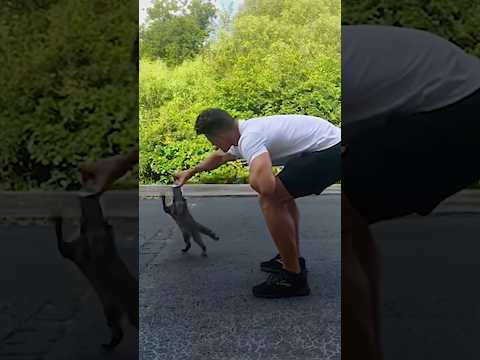 Tiny Raccoon Gets Another Chance At Life thumbnail
