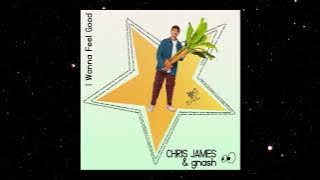 Chris James, gnash - I Wanna Feel Good