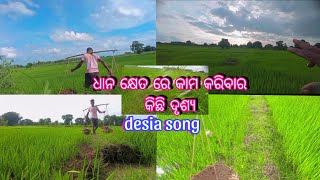 Kai Jati Ita Desia Song Working Video Edit