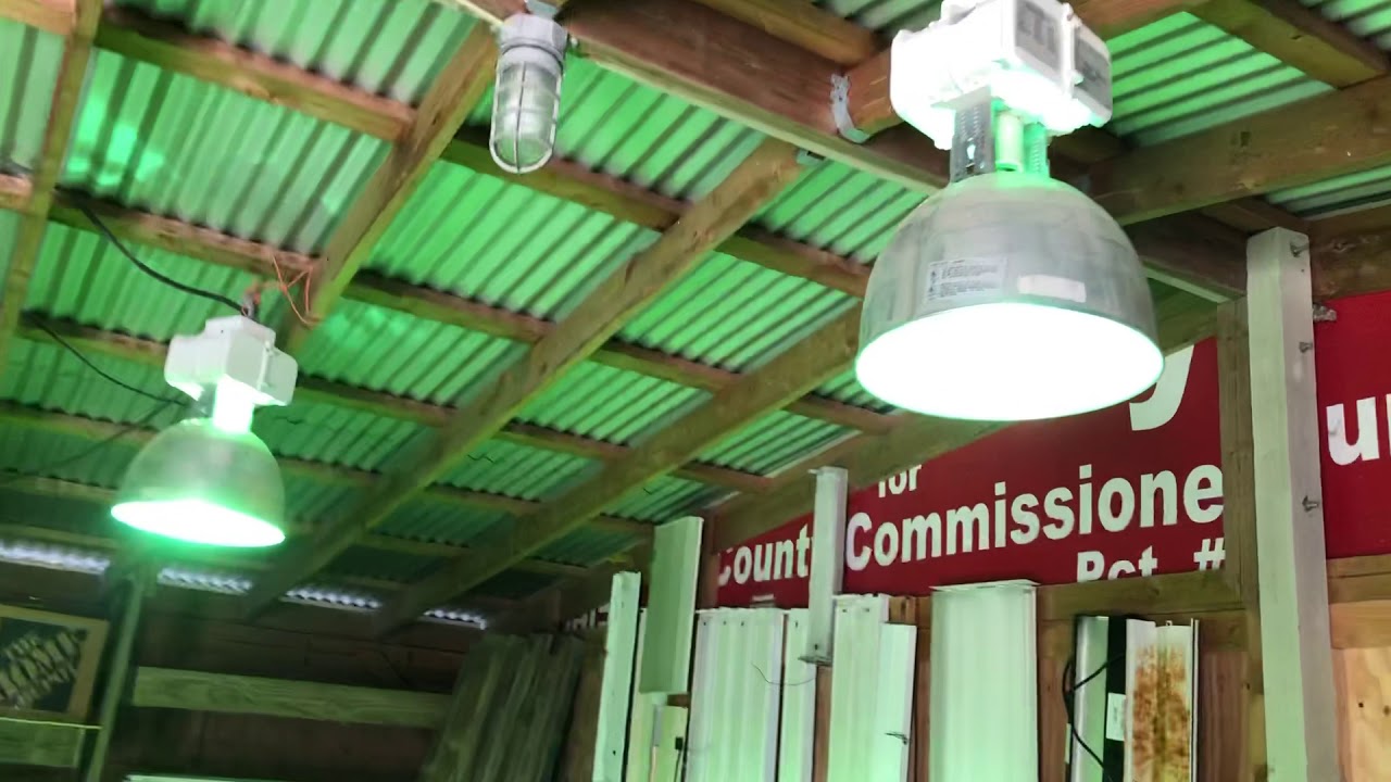 400W mercury vapor bulbs in my highbay fixtures