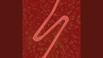 Remarkable Backdrops for Deep Relaxation