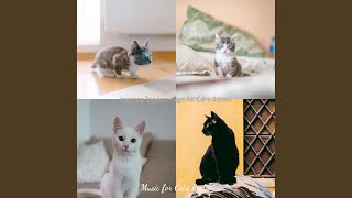 Understated Relaxing Cats