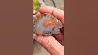 Dendritic Agate Cutting ADVENTURE!!!