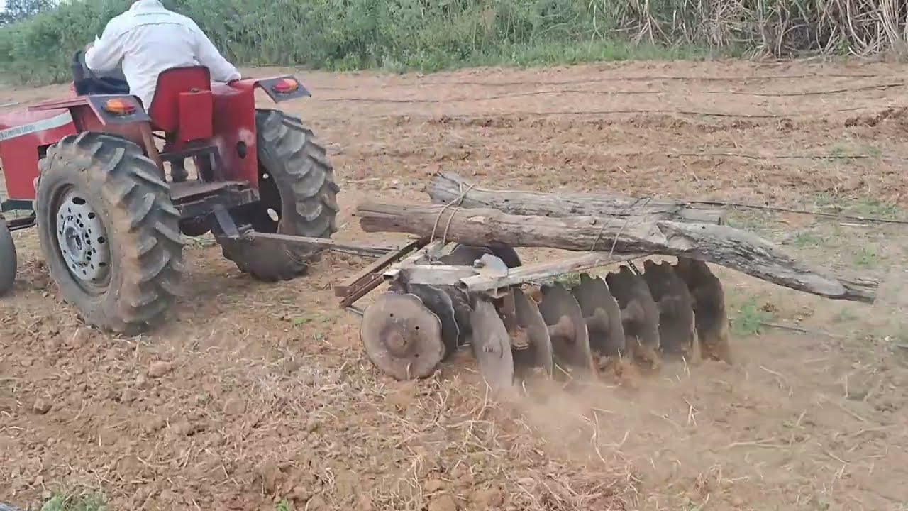 hoje foi o duelo dos tratorzinhos nos testes de força, veja