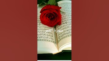 سورة القمر  #اكسبلور #تيك_توك #المصحف #القرآن_الكريم #لايك #راحة_نفسية