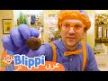 حلقة بليبي يحب الشوكولا بلبي بالعربي كرتون اطفال وأغاني بليبي Blippi Arabic Sweet Treats حلقة بليبي يحب الشوكولا بلبي بالعربي كرتون اطفال وأغاني بليبي Blippi Arabic Sweet Treats