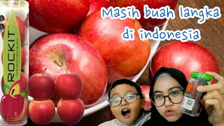 Download Lagu APEL ROCKIT NEW ZEALAND MP3