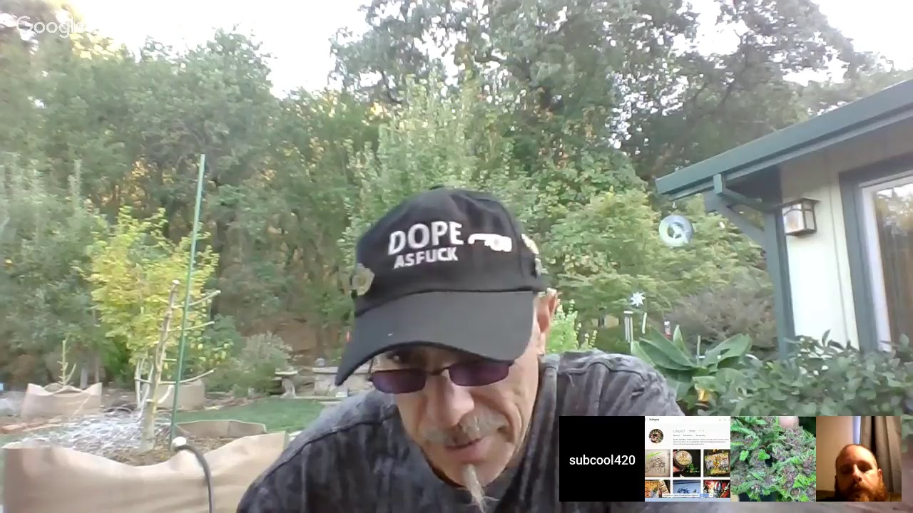 The Weed Nerd Live Show  420 Break Show