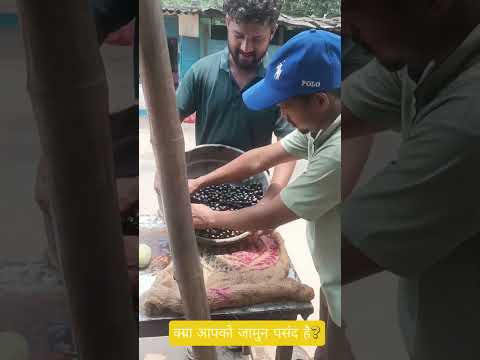 jamun bech ker huyi bumper kamai #jamunsrason #fruit lovers #desilovers