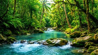 Relaxing Forest Ambience with Birds & Crystal Clear Stream Sounds for Deep Rest