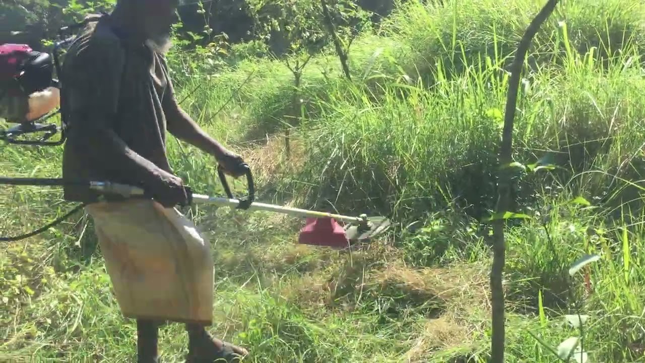 New Brush Cutter Real Test – Cutting 3-Foot Grass & Thorny Bushes!