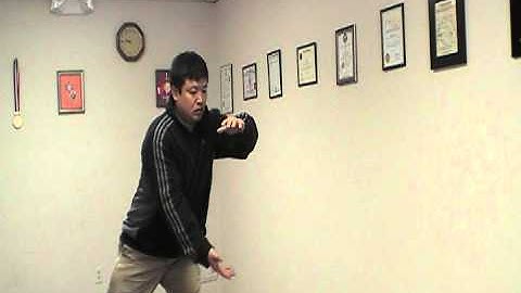Five Elements Bagua Tai Chi (Yang Taiji Quan)