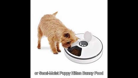 6-Meal Automatic Pet Feeder for Cats Dogs and Rabbits, Music Reminder and Interval Based Timer