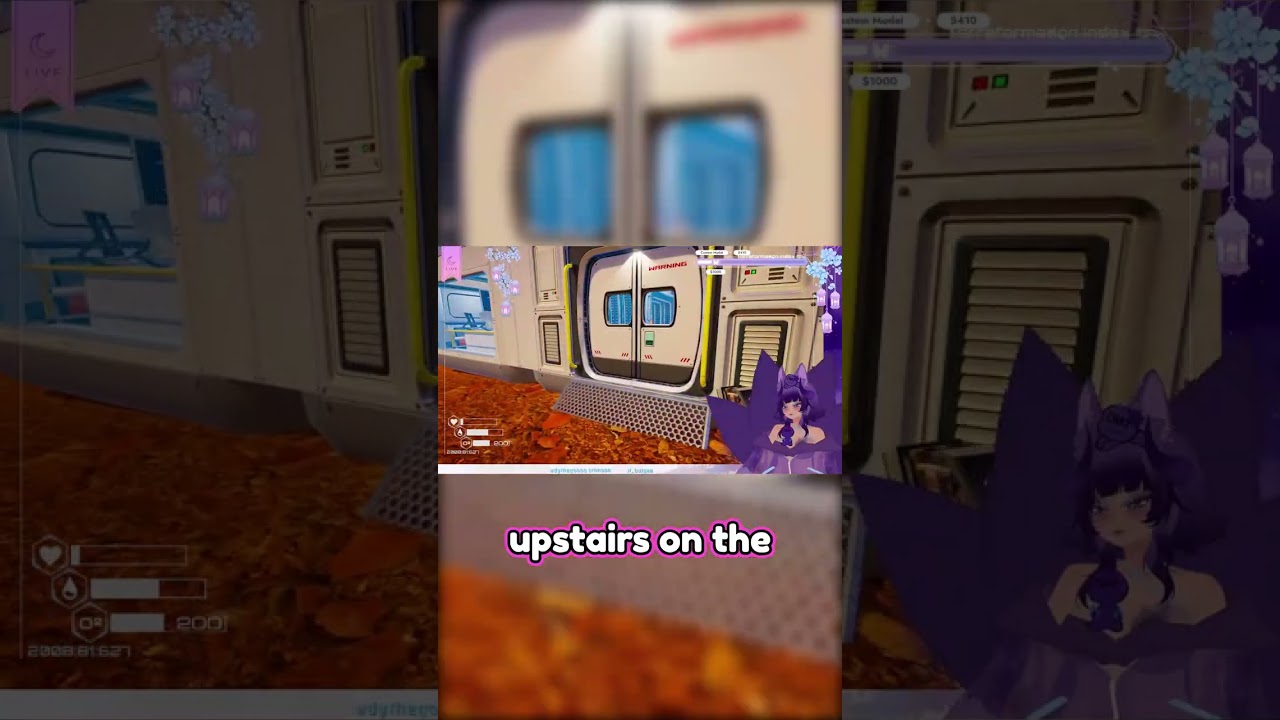 oops? the ladders gone