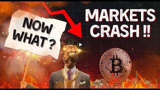 Cutting Through The Noise