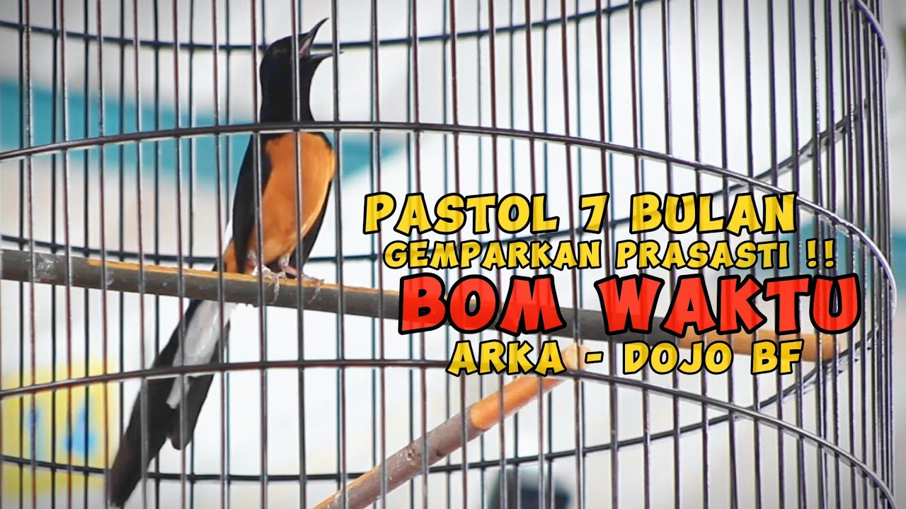 Gemparkan Prasasti !! Bom Waktu - Dojo Bf Pastol 7 Bulan !!!