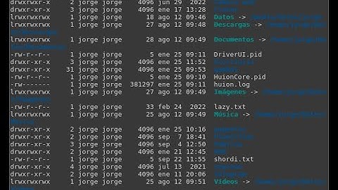 Terminales desde Gambas 1: Haciendo un Terminal  simple con Gambas3
