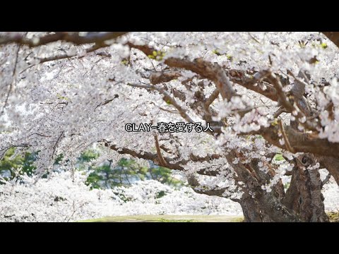 GLAY-春を愛する人（歌詞あり）