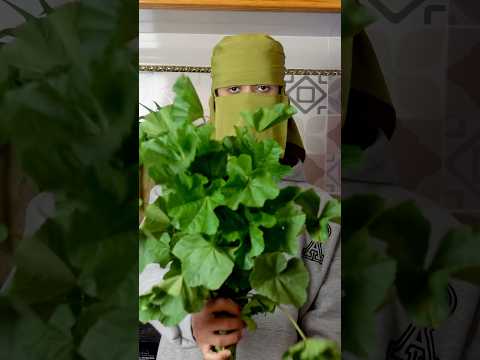 أحسن خبيزة وأحسن واحد وجدها رمضان23