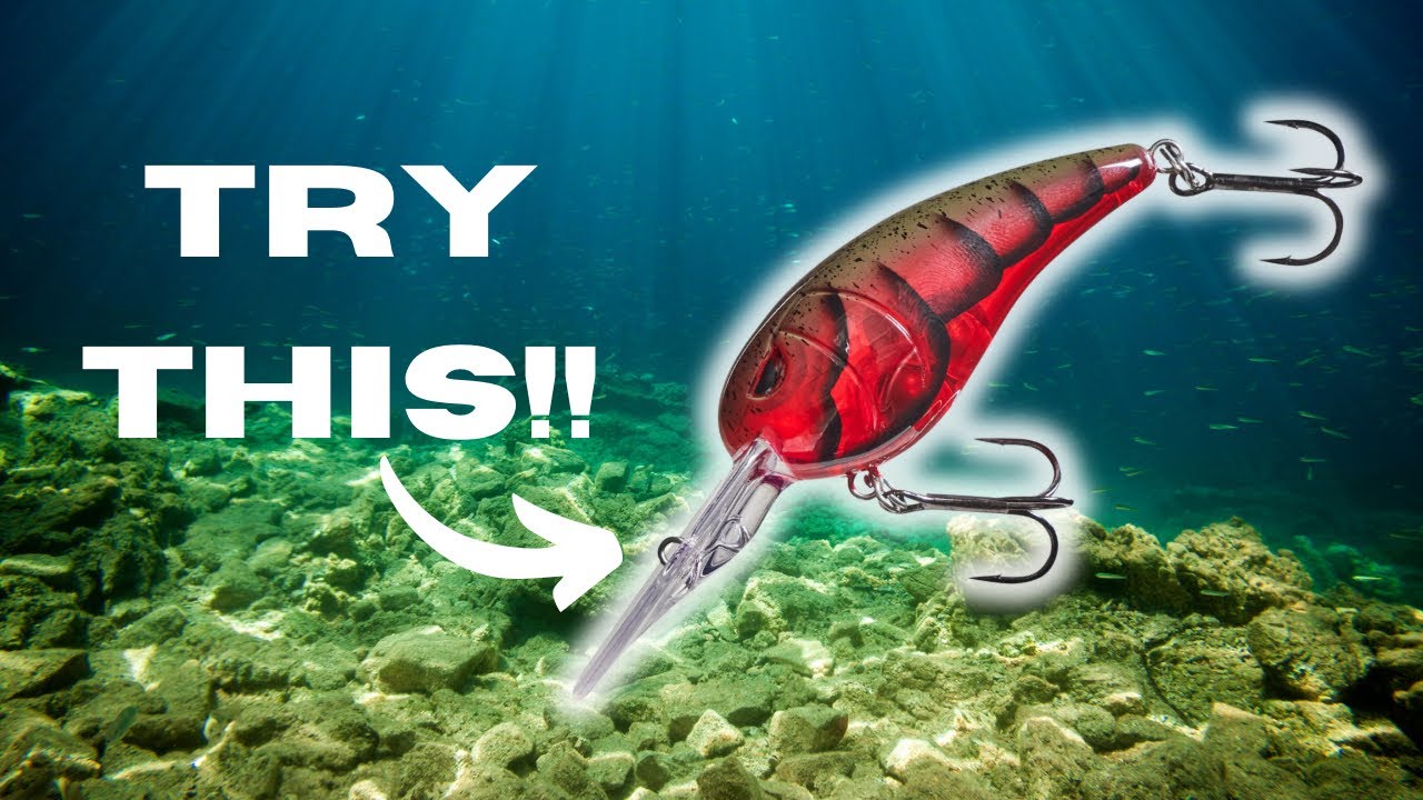 These WINTER CRANKBAITS Are Proven To Catch BIG BASS!!