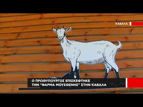 Την Φάρμα Μουσθένης