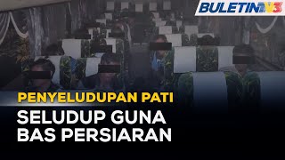 PENYELUDUPAN PATI | Sindiket Guna Bas Persiaran Bawa 20 Pati