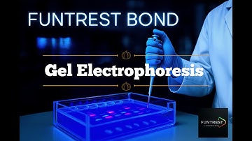 Gel Electrophoresis Explained | DNA RNA Proteins, SDS-PAGE vs Agarose | Biotech Simplified, MicroBio