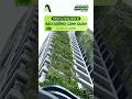Dự án bảo dưỡng cảnh quan Khu dân cư Lumière Boulevard tại P.Long Bình #dnhome #dnlandscape #sanvuon