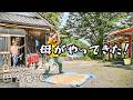 【田舎暮らし】DIYの極み!囲炉裏部屋に母を呼んだ!え、これ自作!?