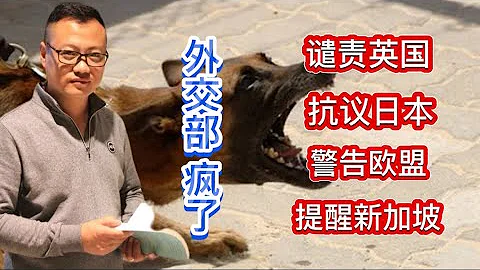 外交部疯了｜咬英国、咬日本，咬完欧盟咬新加坡｜亚军歪评：台湾老乡打狂犬疫苗吗？ - 天天要闻