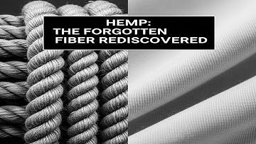 The Forgotten Fiber Rediscovered